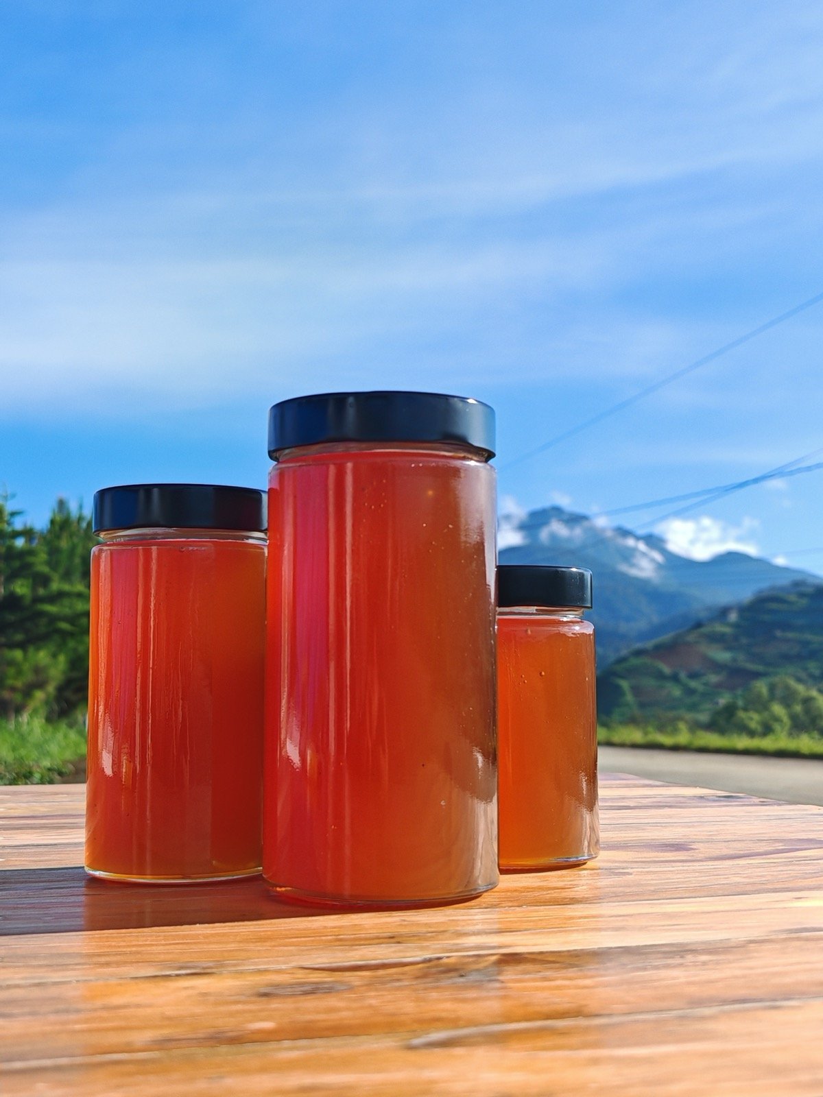 Hinterland raw forest honey