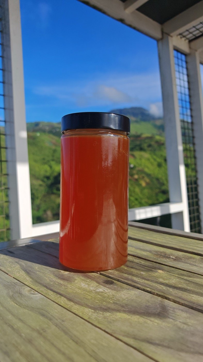 Jars of raw forest honey
