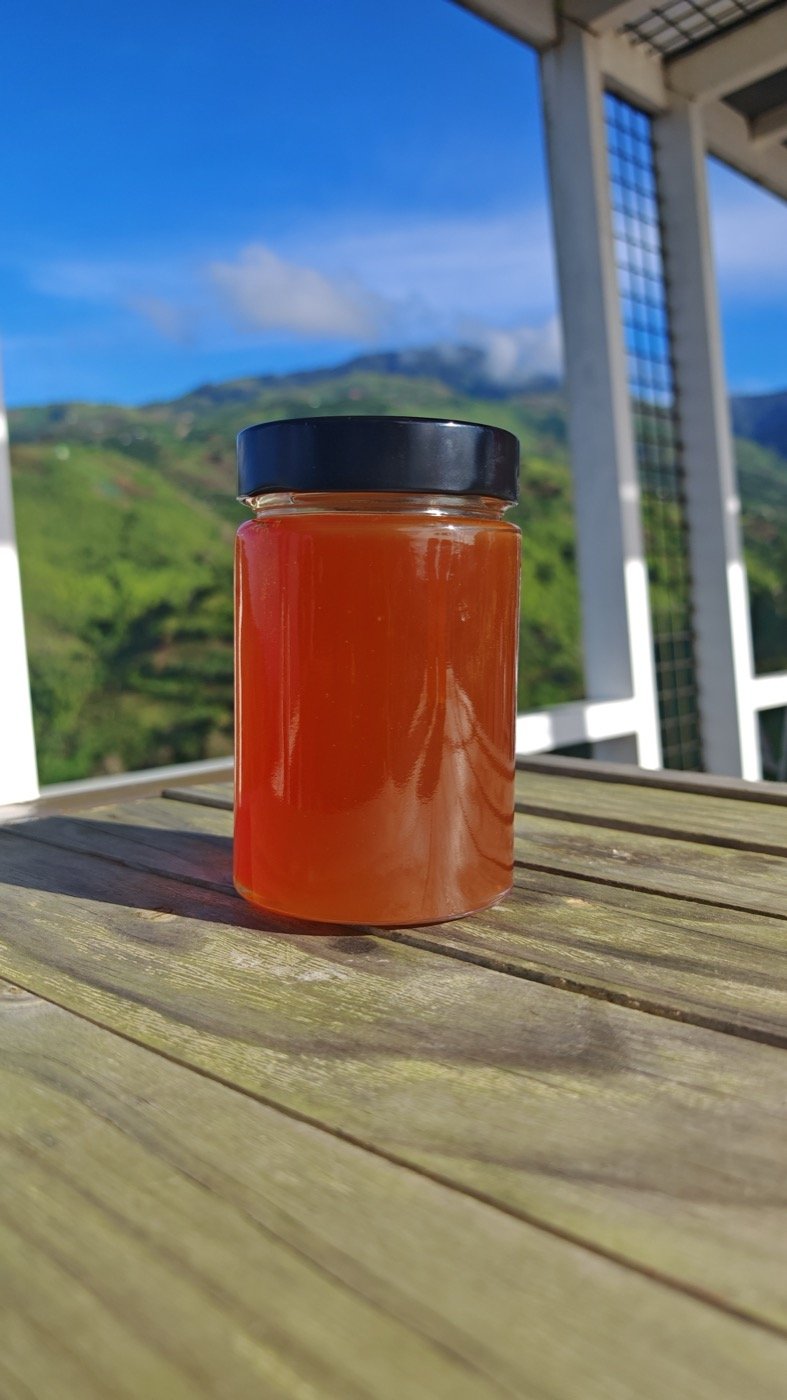 Comb in Jar